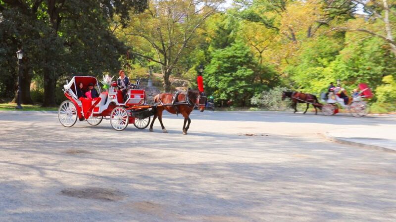 Central Park: Short Horse Carriage Ride (Up to 4 Adults) - Flexible Timing and Weather Conditions