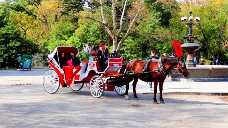 Central Park: Short Horse Carriage Ride (Up to 4 Adults) - The Guide’s Role in Enhancing Your Experience