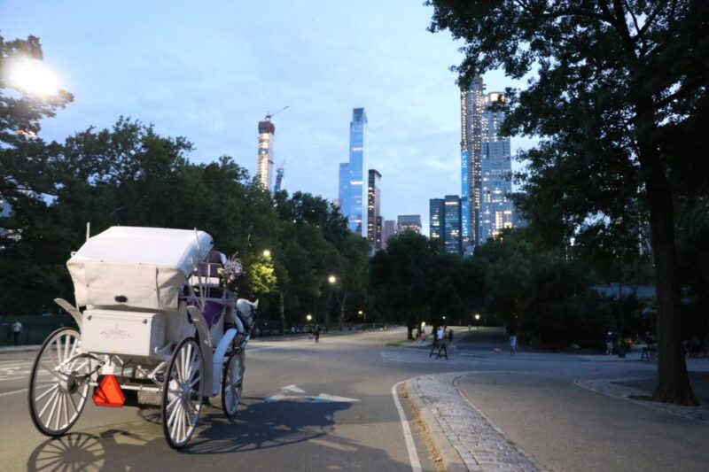 Central Park: Short Horse Carriage Ride (Up to 4 Adults) - Why This Private Horse Carriage Ride Stands Out