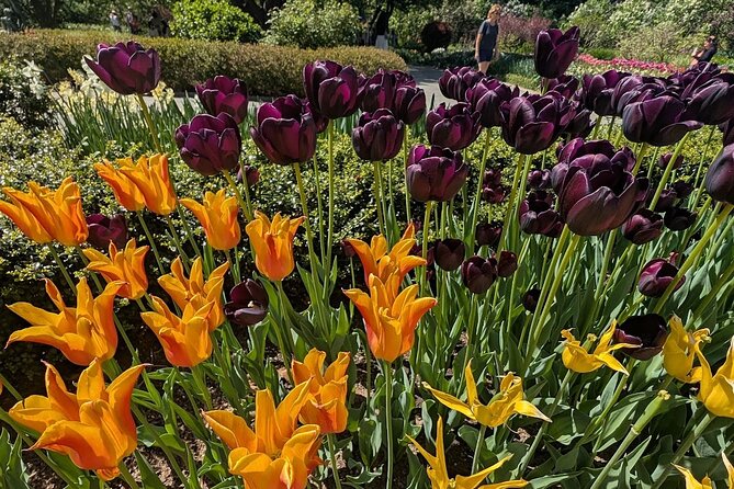 Central Park Sightseeing Guided Hike - The Ramble: Winding Pathways and Dense Woodland