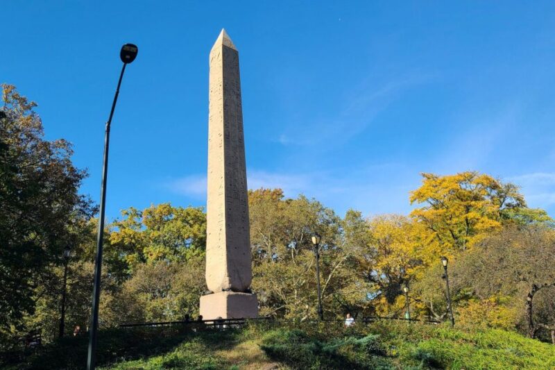 Central Park Tandem Bike Rentals - Additional Bike Options for Different Adventures