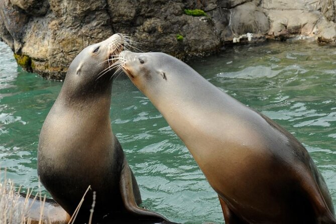 Central Park Zoo Admission Ticket with 4D Theater Access - Comparing This Tour to Other NYC Attractions