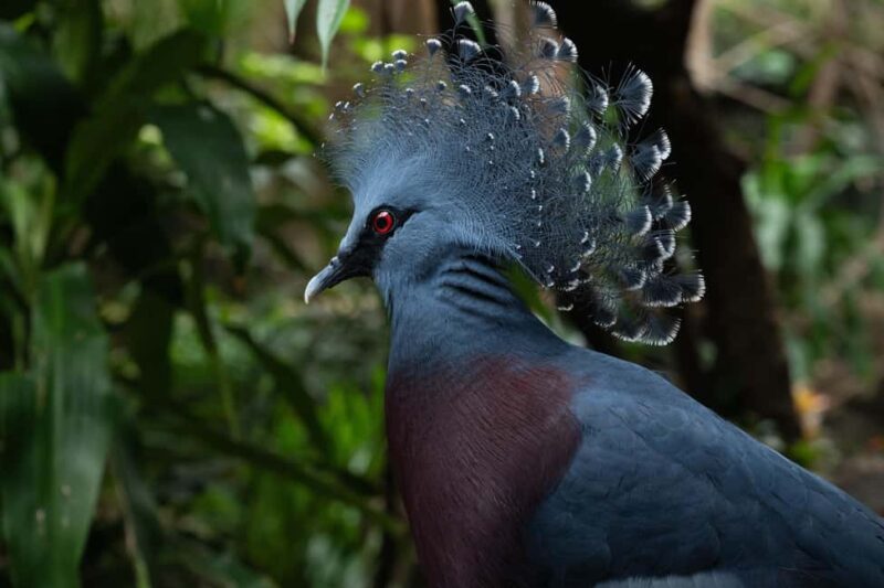Central Park Zoo Entry Ticket - The Experience: A Day of Wildlife in NYCs Backyard
