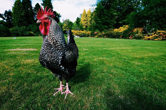 Central Scotland Driving Tour - Stirlingshire (Private) - Deanston Distillery & Tasting Experience