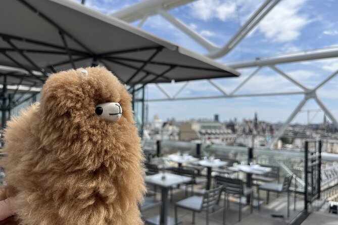 Centre Pompidou: Museum Ticket Entry& 3h Private Guided Tour - Starting Point and Meeting Logistics in Paris