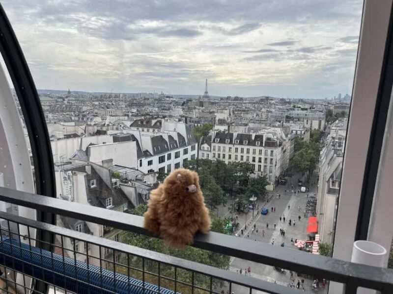 Centre Pompidou: Museum Ticket Entry& 3h Private Guided Tour - Highlights of the Museum’s Art Collection