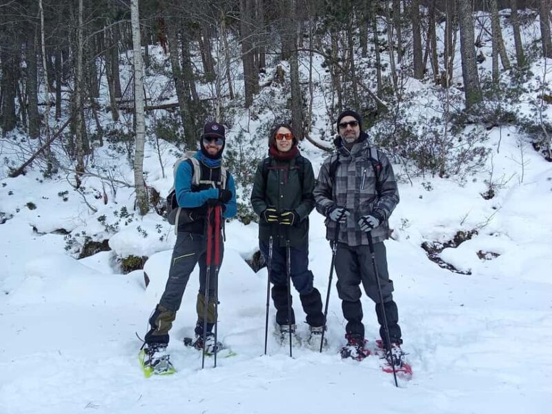 Cerdanya: Snowshoe tour through the forests and lakes of the Pyrenees - Key Points