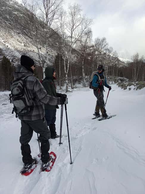 Cerdanya: Snowshoe tour through the forests and lakes of the Pyrenees - Exploring the Snowy Forests of Cerdaña