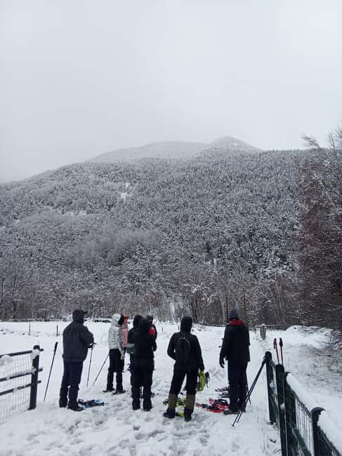 Cerdanya: Snowshoe tour through the forests and lakes of the Pyrenees - The Guide and Group Experience