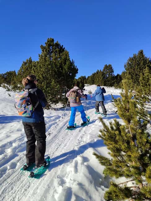 Cerdanya: Snowshoe tour through the forests and lakes of the Pyrenees - Comparing to Other Mountain Experiences