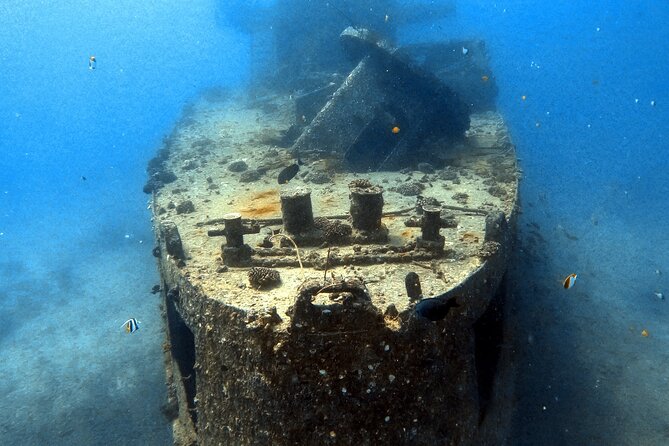 Certified Diver: 2-Tank Deep Wreck and Shallow Reef Dive Off Oahu - Starting Point in Honolulu: Kewalo Basin Harbor