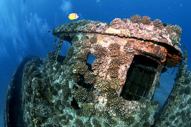 Certified Diver: 2-Tank Deep Wreck and Shallow Reef Dive Off Oahu - Marine Wildlife Encounters