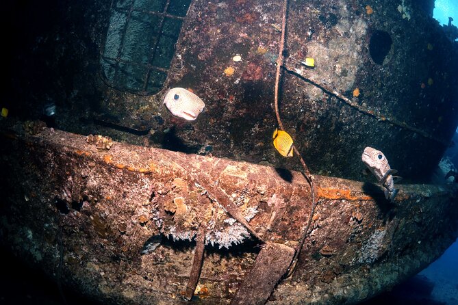 Certified Diver: 2-Tank Deep Wreck and Shallow Reef Dive Off Oahu - Logistics and Additional Offerings