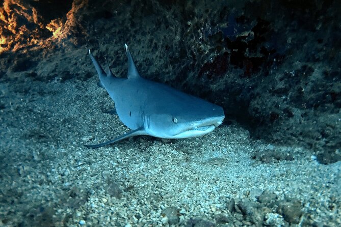 Certified Diver: 2-Tank Night Dive - Practicalities and Accessibility