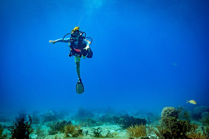 Certified Diving 2 Tanks in Cozumel - Discover the Best Reefs Chosen by the Captain