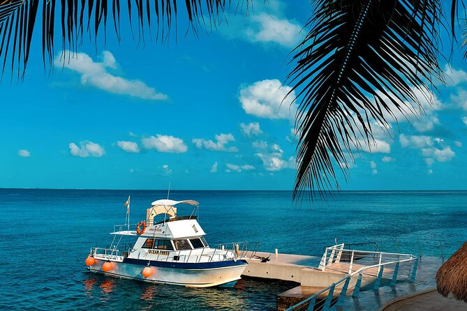 Certified Diving 2 Tanks in Cozumel - Second Reef Offers Slightly Lower Depth Exploration