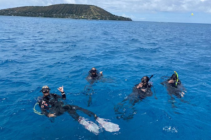 Certified Scuba Diving Along Two Shallow Reef Sites - Experienced Guides and Crew