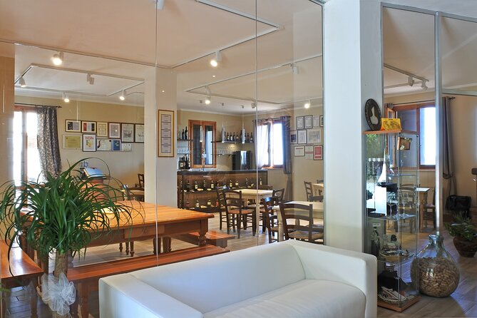 Cesani Wine Experience - Discovering the Cesani Family and Their Organic Philosophy