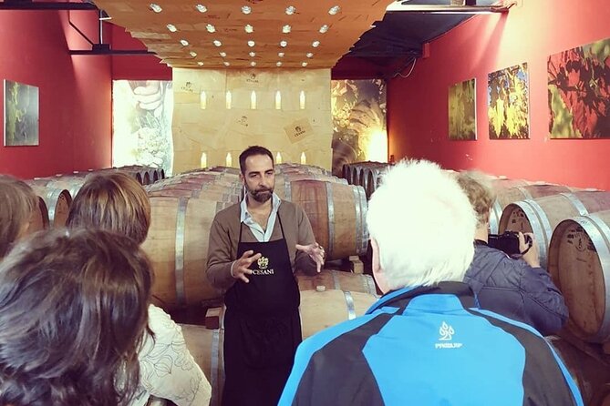 Cesani Wine Experience - Guided Tour of the Modern Cellar and Production Techniques