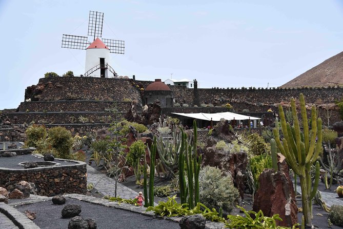 Cesar Manrique Artworks Jameos - Logistics: Meeting Point and Tour Pacing