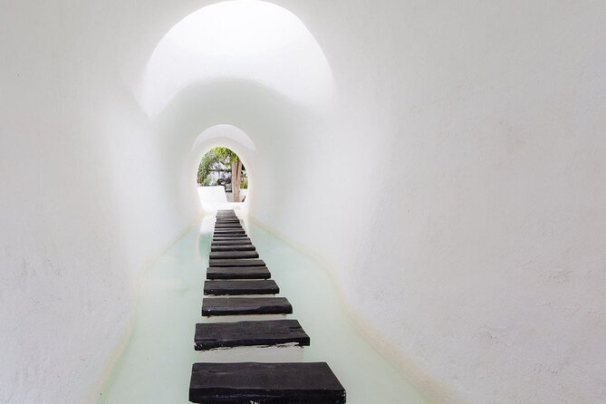 César Manrique: Northern Lanzarote Guided Tour - The Guide and Guest Experience: Diverse Feedback