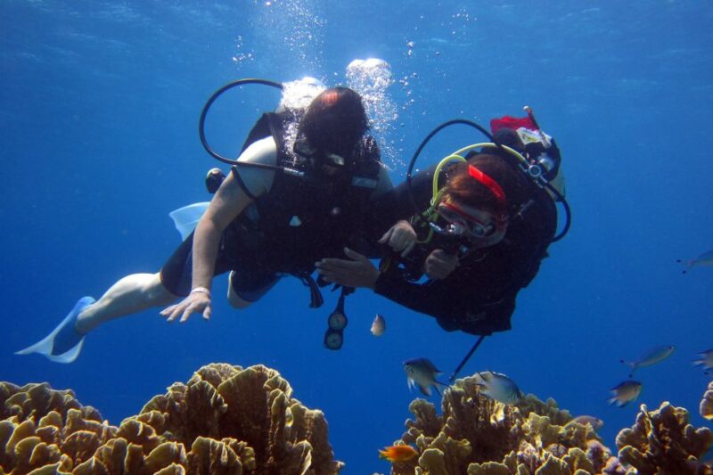 Cesme: Scuba Diving Experience - A Taste of Local Flavors and Relaxation