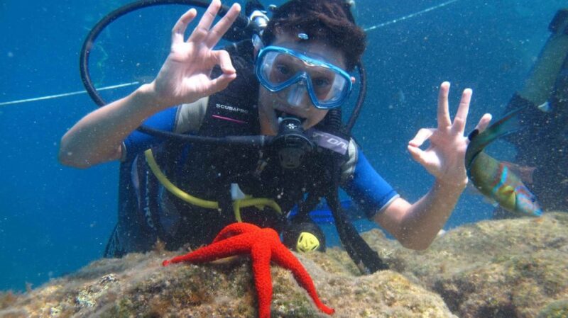 Cesme: Scuba Diving Experience - The Sum Up: An Authentic Underwater Adventure in Cesme