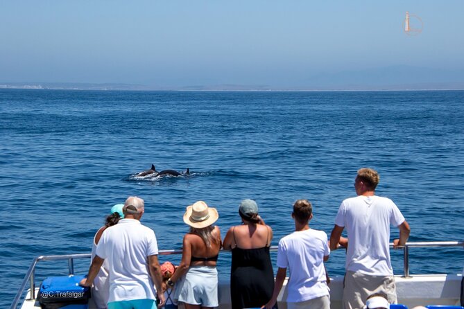 Cetacean Watching Tour - Discover the Cetacean Watching Tour in Cádiz, Spain