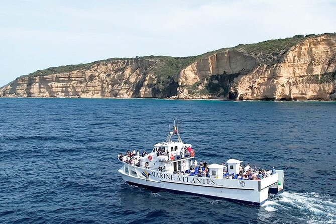 Cetacean Watching Tour - Key Points