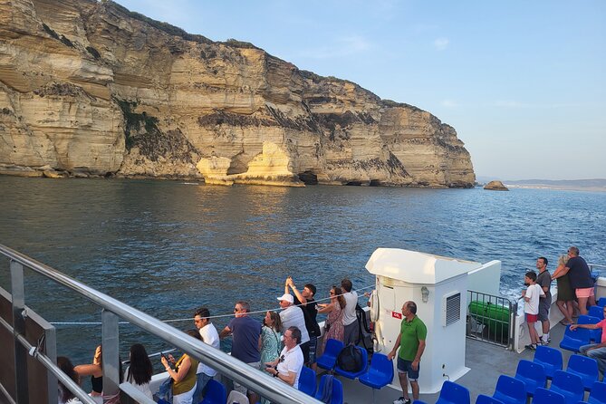 Cetacean Watching Tour - The Provider: Marine Atlantes