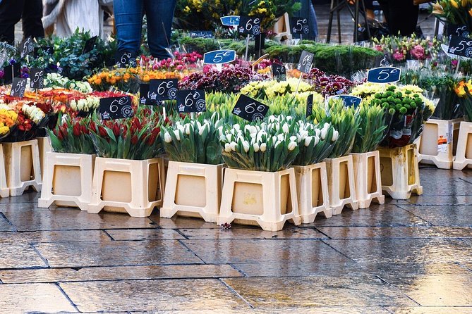 Cézanne Pathway : Wine and Art in Majestic Aix en Provence - Painting in the Fields: Cézanne’s Artistic Workspace