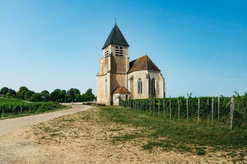 Chablis Day Trip From Paris including 8 tastings & lunch - Exploring the Red and White Varieties from Auxerrois
