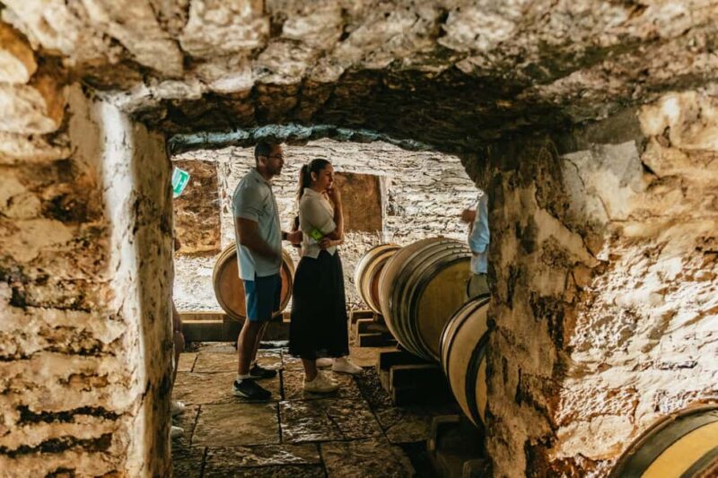 Chablis Day Trip From Paris including 8 tastings & lunch - Scenic Vineyard Views and Picturesque Villages