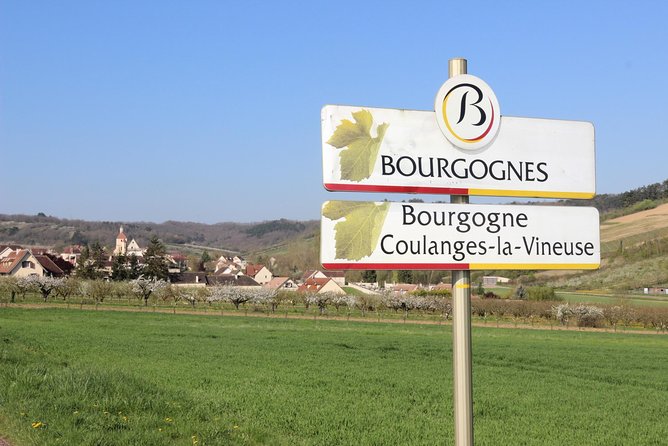 Chablis & Northern Burgundy Wine Tour - Tasting, Purchasing, and Learning