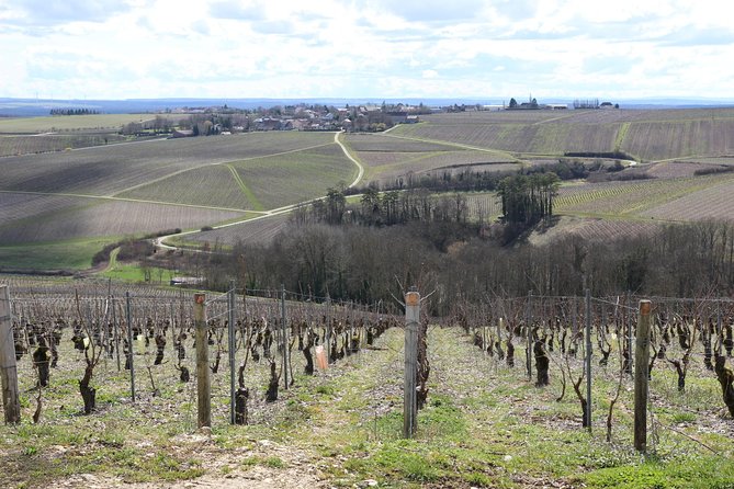 Chablis & Northern Burgundy Wine Tour - Why This Tour Stands Out