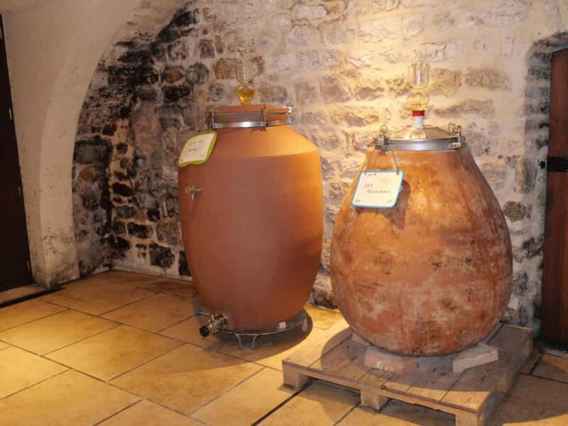 Chablis: Tour and tasting Family-run winery - Exploring Domaine Fourrey in Chablis