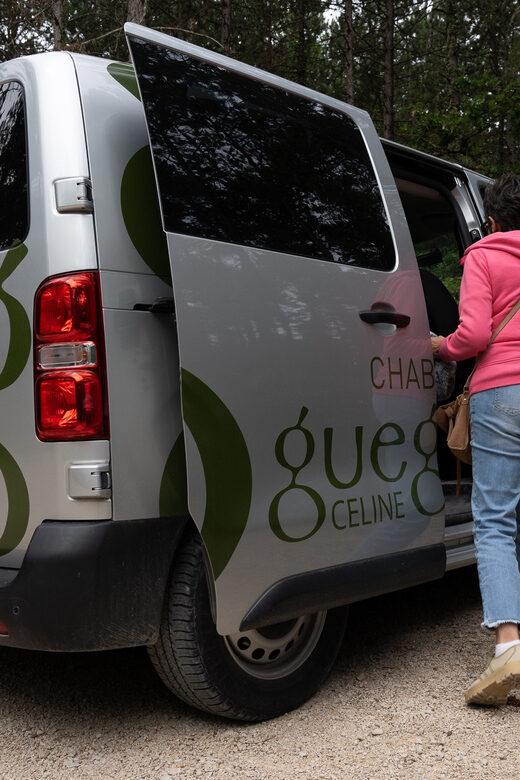 Chablis: Visit of the Grand Cru vineyard - Key Points