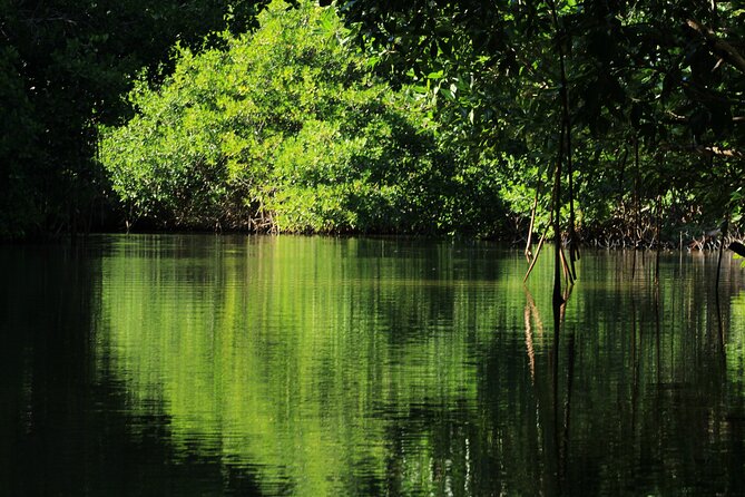 Chacahua Afternoon Journey - Exploring Chacahua National Park and Its Cultural Roots