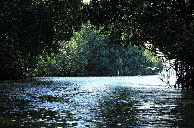 Chacahua Afternoon Journey - Frequently Asked Questions