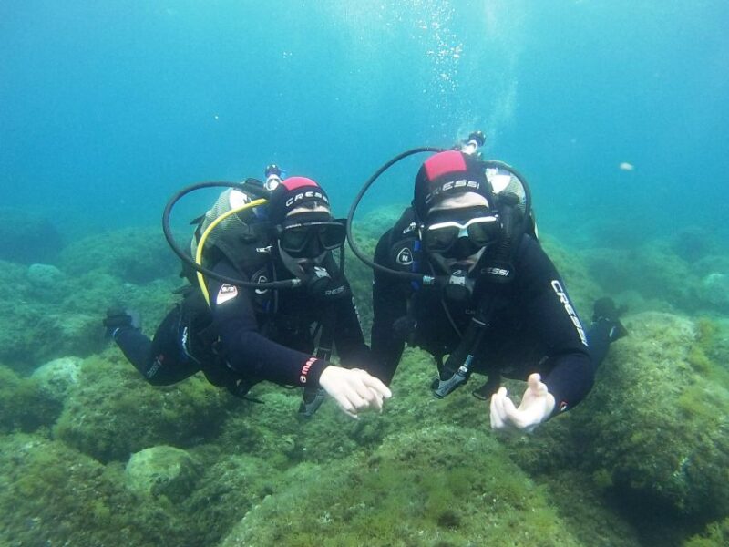 Chalkidiki: Scuba Diving for Beginners in Kassandra - The Experience Provider: Dive Greece