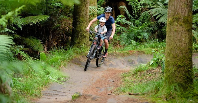 Chambéry : Electric Mountain Bike rental - Suitable for Different Experience Levels