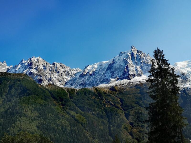 Chamonix: highlight tour Aiguille du Midi and Mer de Glace - Logistics and Practical Details