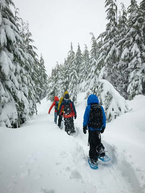 Chamonix: Snowshoe Walk Under the Stars with a Private Guide - How the Snowshoe Walk Is Organized in Chamonix