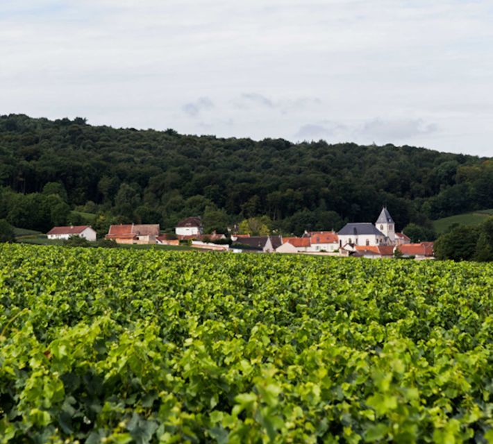 Champagne: Canard-Duchêne Champagne House Tour - Exclusive Champagne Tastings and Options