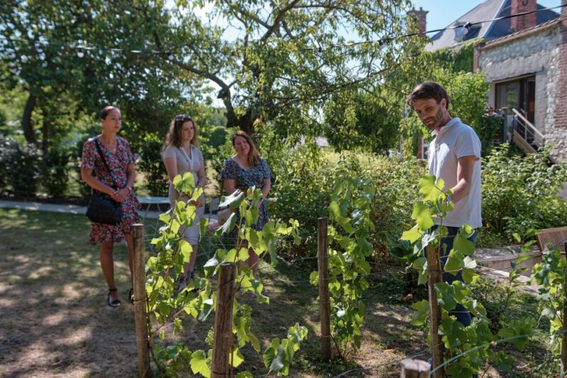 Champagne: Champagne Tasting Class with Lunch - Exploring Champagne-Making Secrets and Cellar Visits