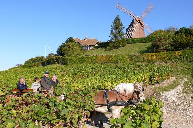 Champagne Day Tour with Reims, Cellars Visit & Champagne Tasting from Paris - Who Should Book This Tour?