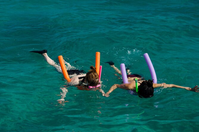 Champagne Dolphin Sail and Reef Snorkel - Who Should Book the Champagne Dolphin Sail and Reef Snorkel?