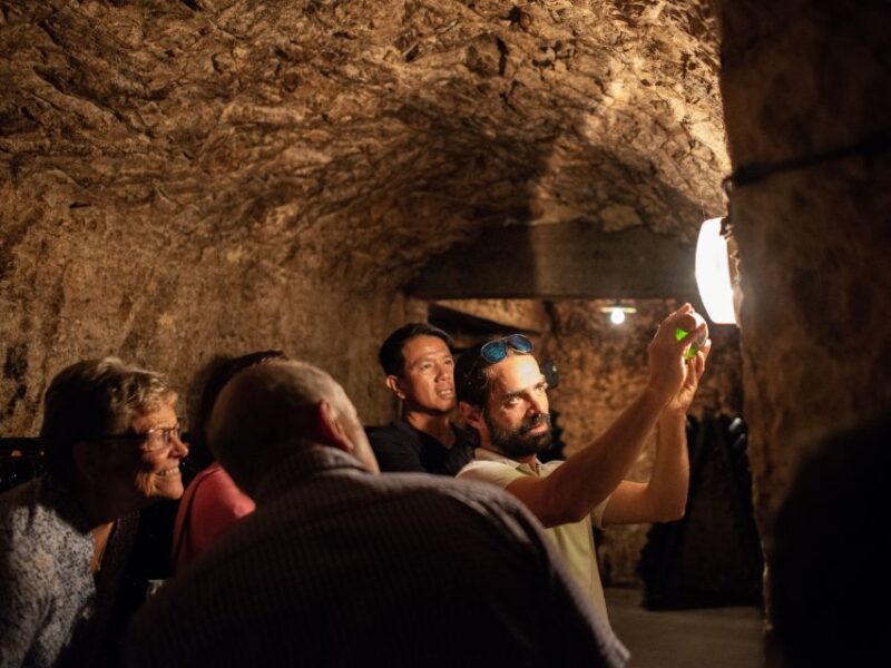 Champagne: E-Bike Champagne Day Tour with Tastings and Lunch - Logistics and Practical Tips