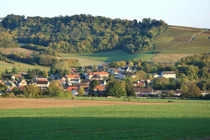 Champagne Guy De Chassey : Premium Tour and Tasting - Key Points