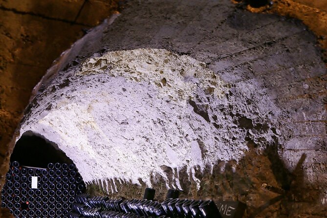 Champagne Guy De Chassey : Premium Tour and Tasting - How Climate and Vine Collection Influence the Vineyards